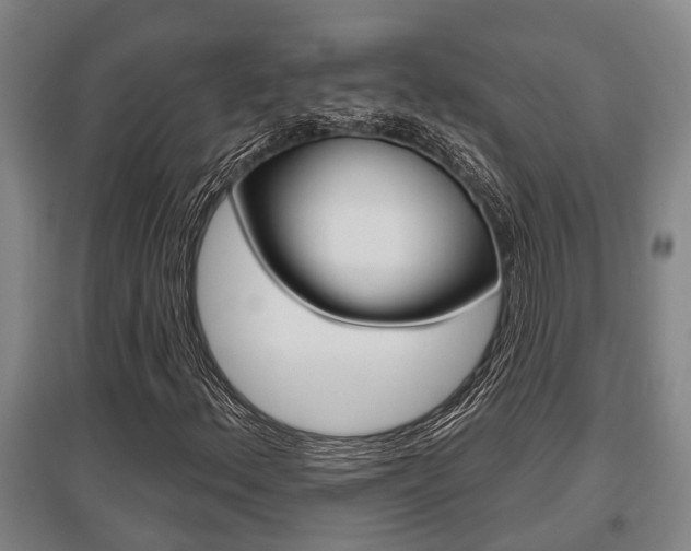 X0000095961156200801110939