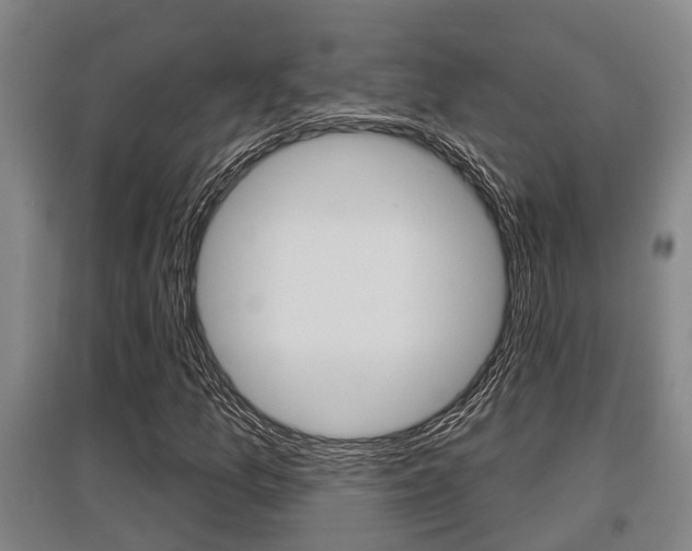 X0000095961157200801110939