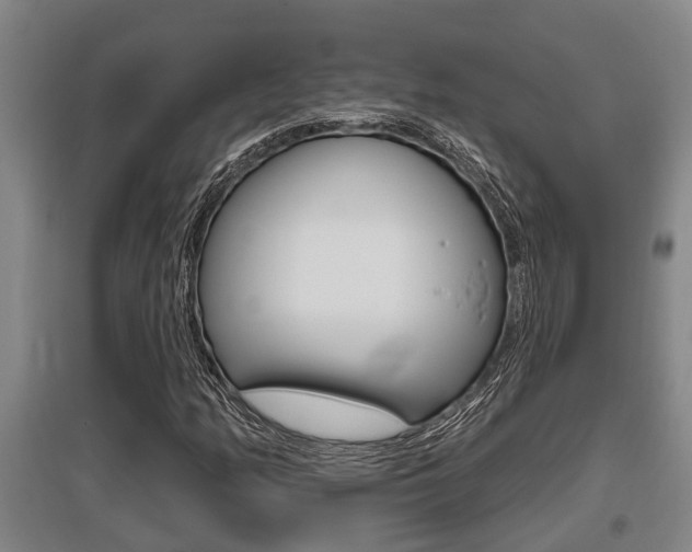 X0000095961158200801110939