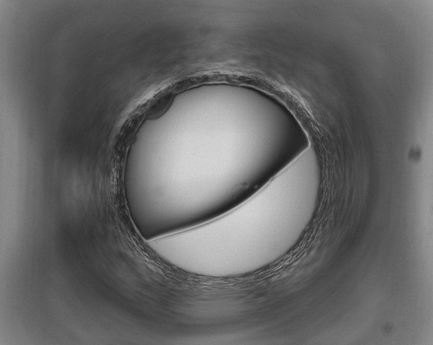 X0000095961159200801110939