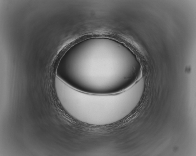 X0000095961160200801110939
