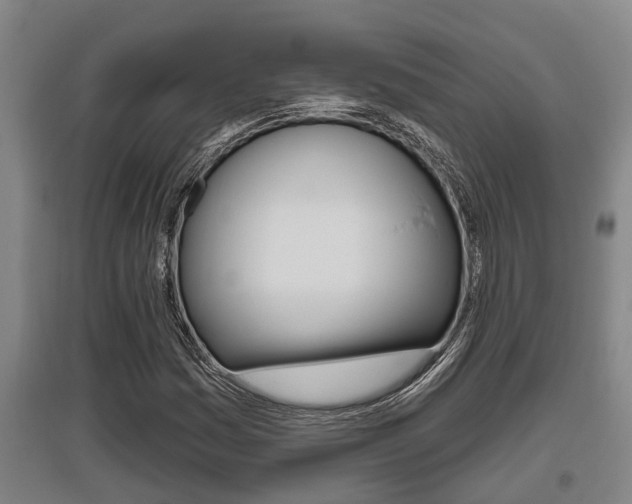 X0000095961161200801110939