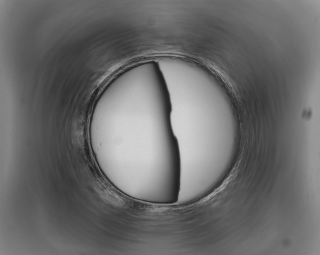 X0000095961162200801110939