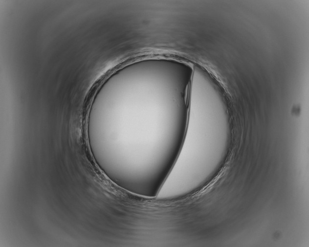 X0000095961165200801110939