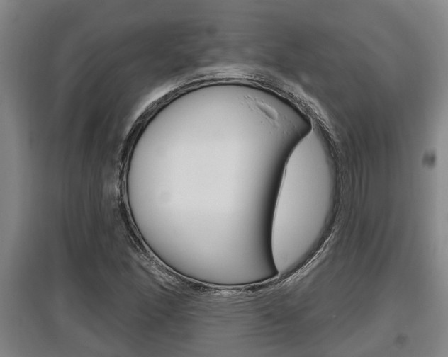 X0000095961166200801110939