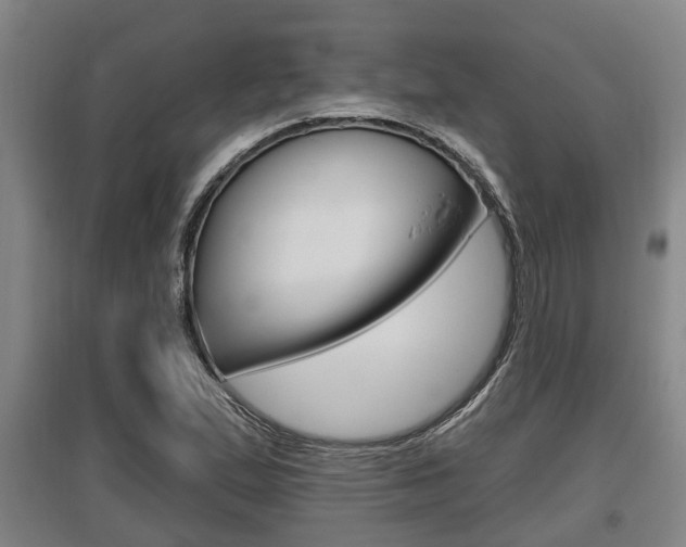 X0000095961167200801110939