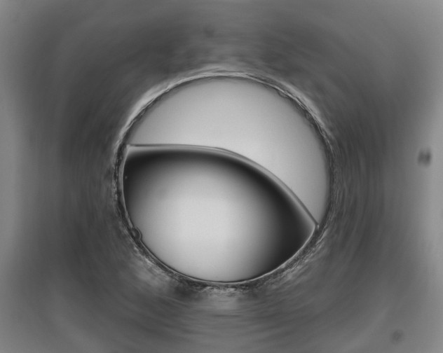X0000095961168200801110939