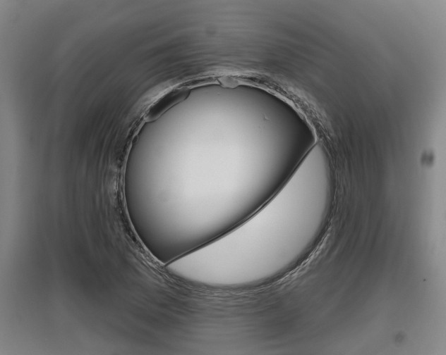 X0000095961169200801110939
