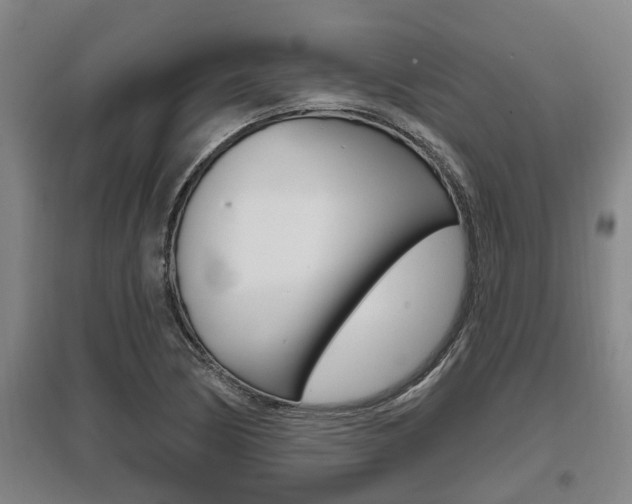 X0000095961170200801110939