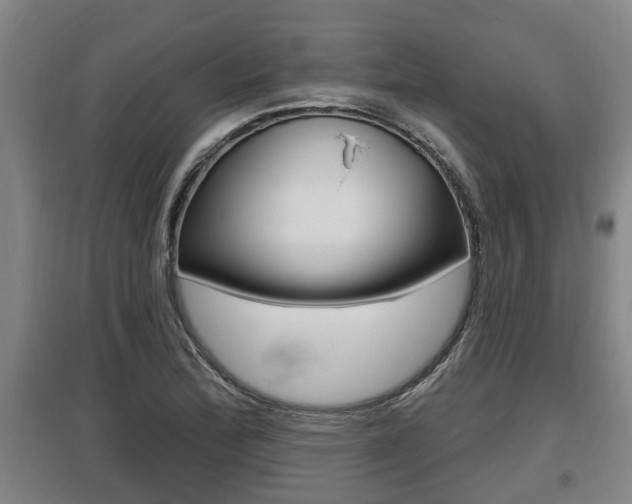 X0000095961172200801110939