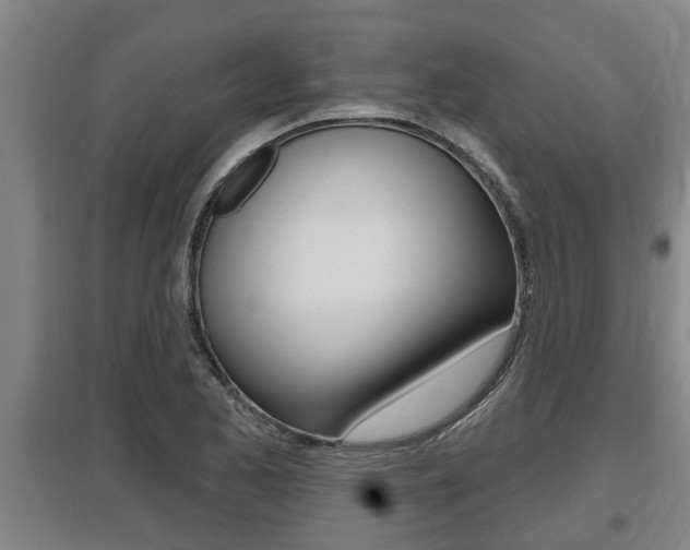 X0000095961173200801110939
