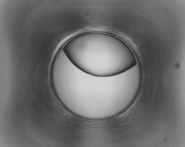 X0000095961174200801110939