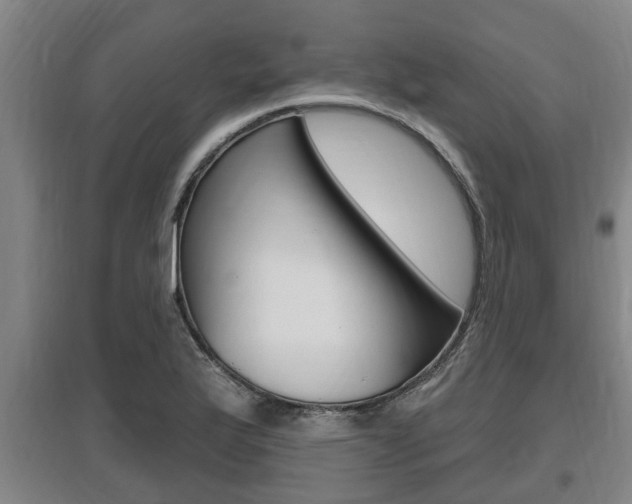 X0000095961175200801110939