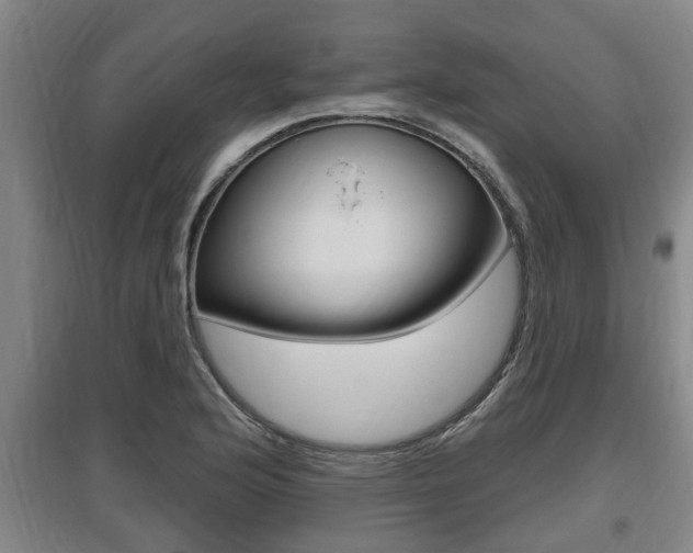X0000095961176200801110939