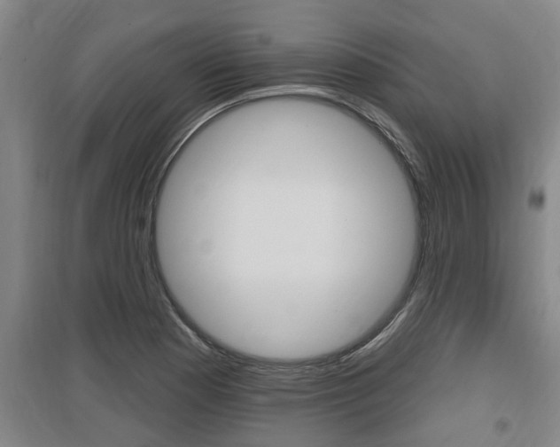 X0000095961177200801110939