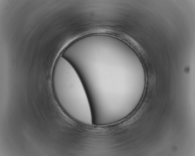 X0000095961178200801110939