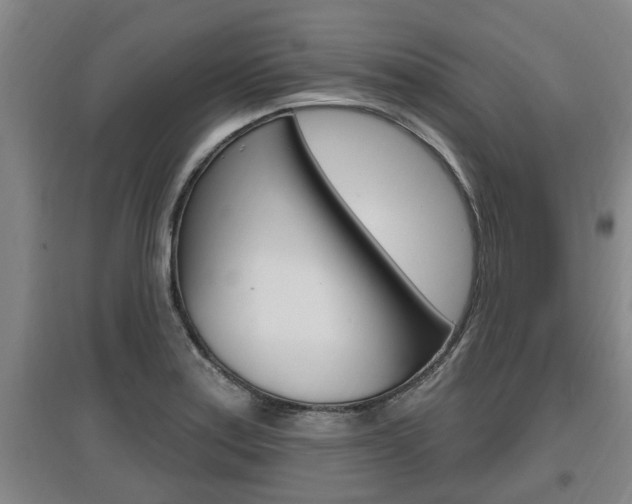 X0000095961179200801110939