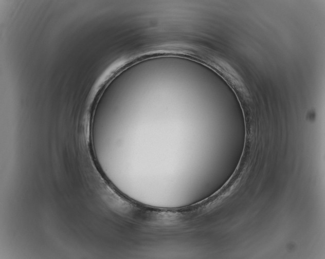 X0000095961180200801110939