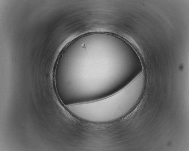 X0000095961181200801110939