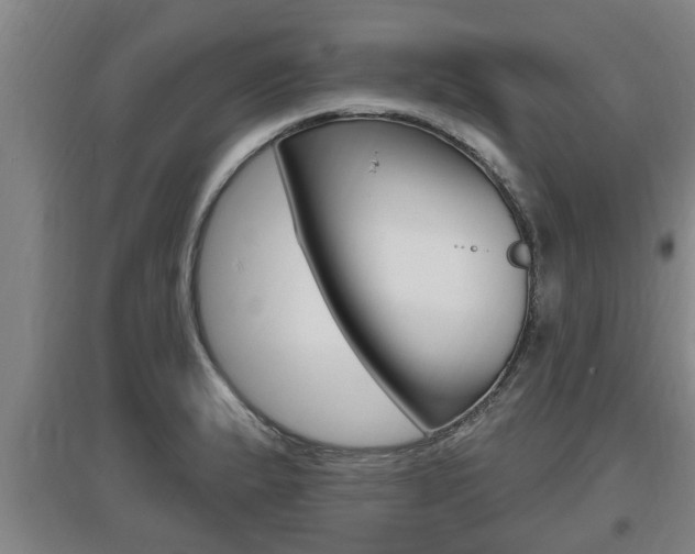 X0000095961183200801110939