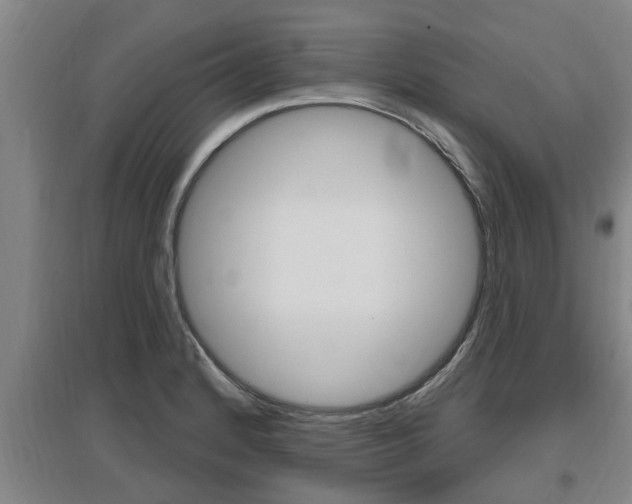 X0000095961184200801110939