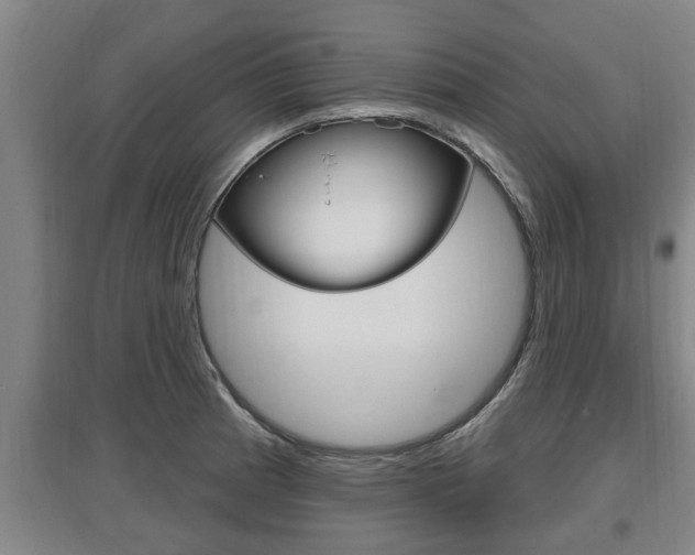 X0000095961185200801110939
