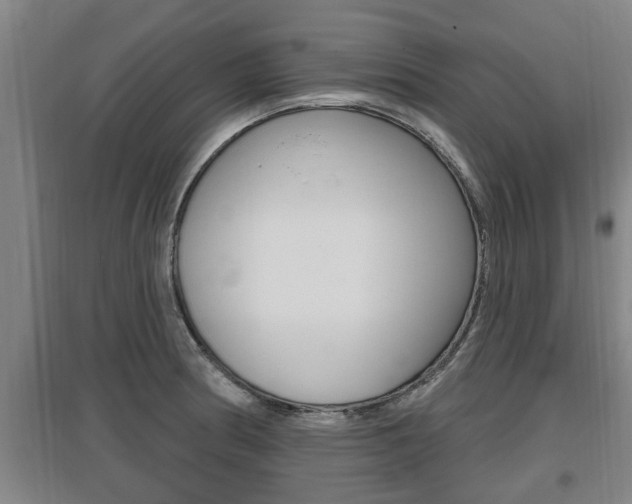 X0000095961186200801110939