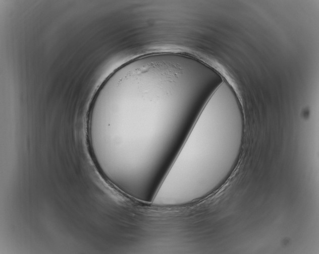 X0000095961187200801110939