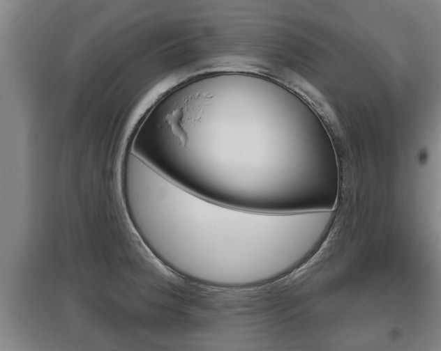 X0000095961188200801110939