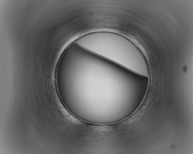 X0000095961189200801110939