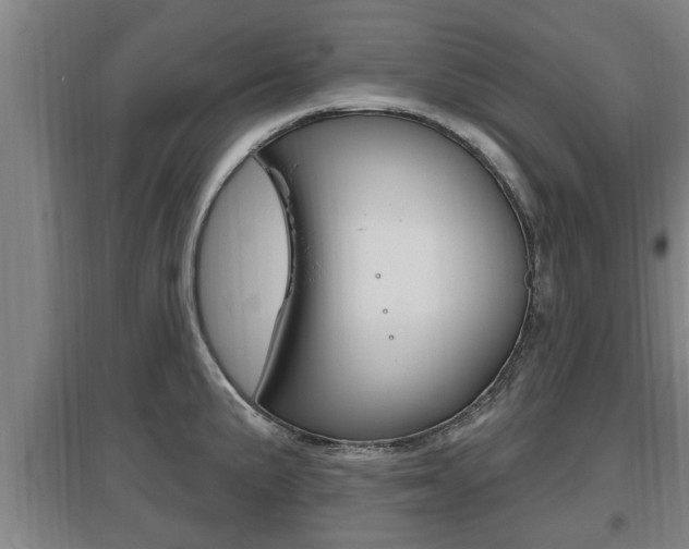 X0000095961191200801110939