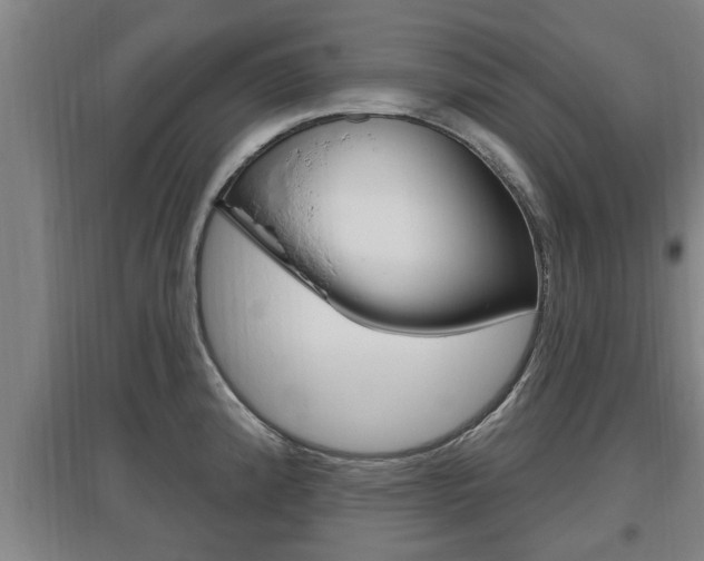 X0000095961192200801110939