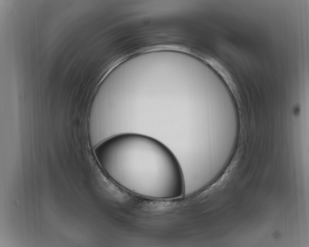 X0000095961193200801110939