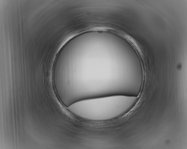 X0000095961194200801110939