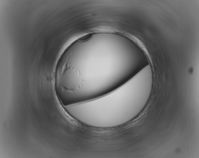 X0000095961195200801110938