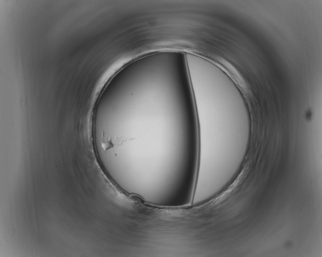 X0000095961196200801110938