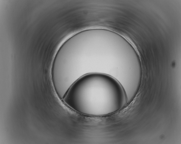 X0000095961197200801110938