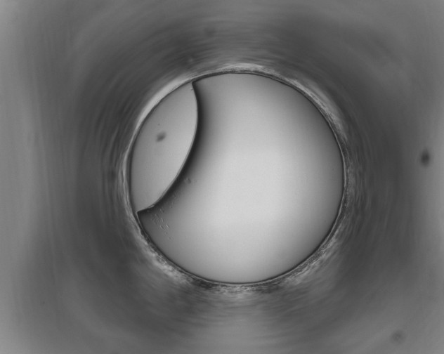 X0000095961198200801110938