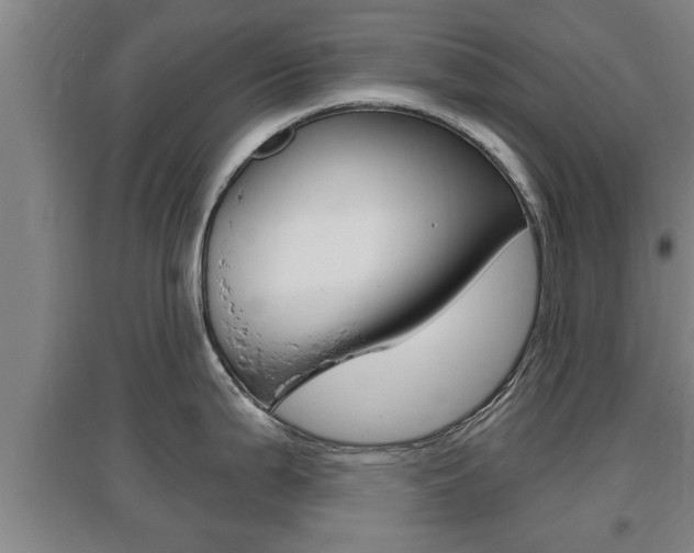 X0000095961199200801110938