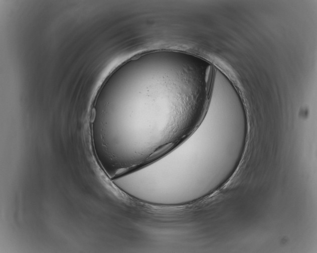 X0000095961200200801110938