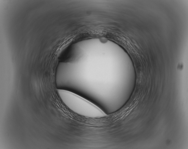 X0000095961201200801110938