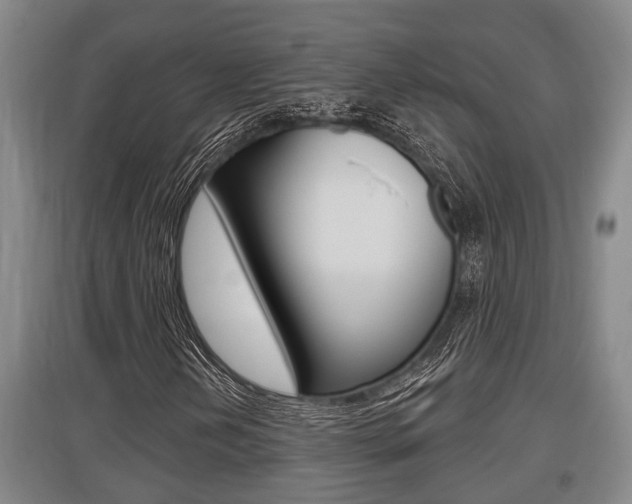 X0000095961202200801110938