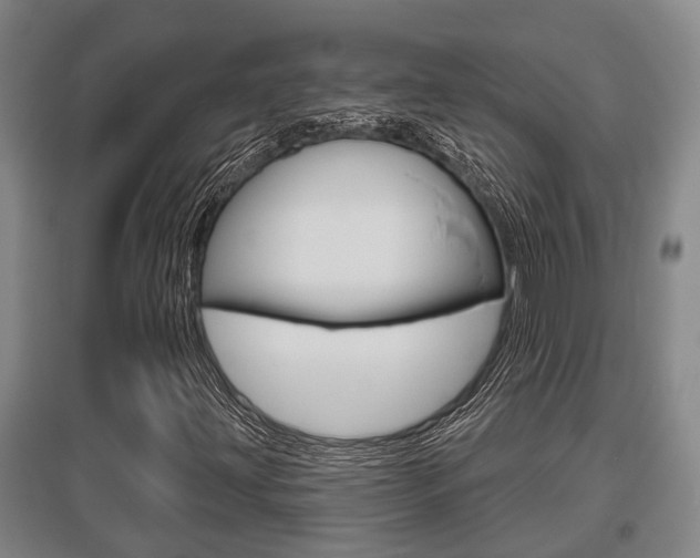 X0000095961203200801110938