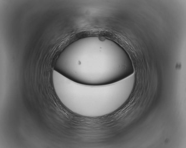X0000095961204200801110938
