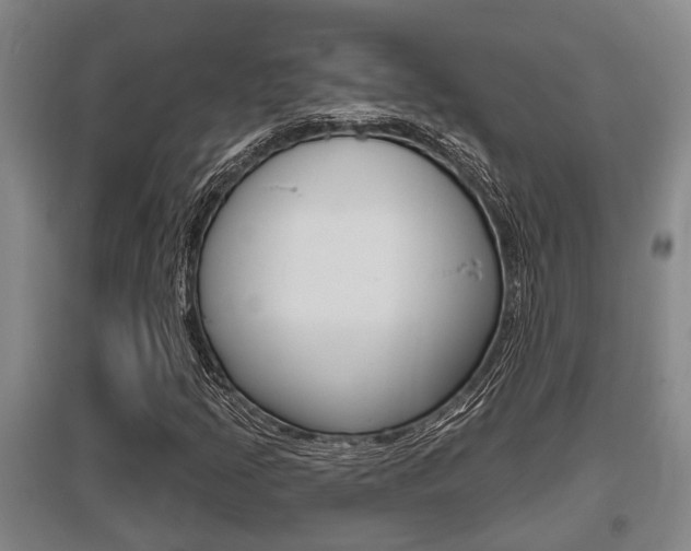 X0000095961205200801110938