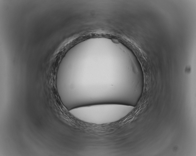 X0000095961207200801110938