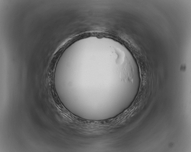 X0000095961208200801110938