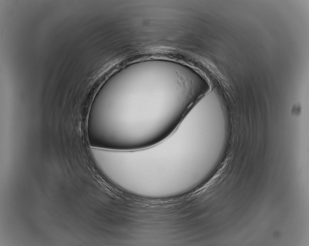 X0000095961209200801110938