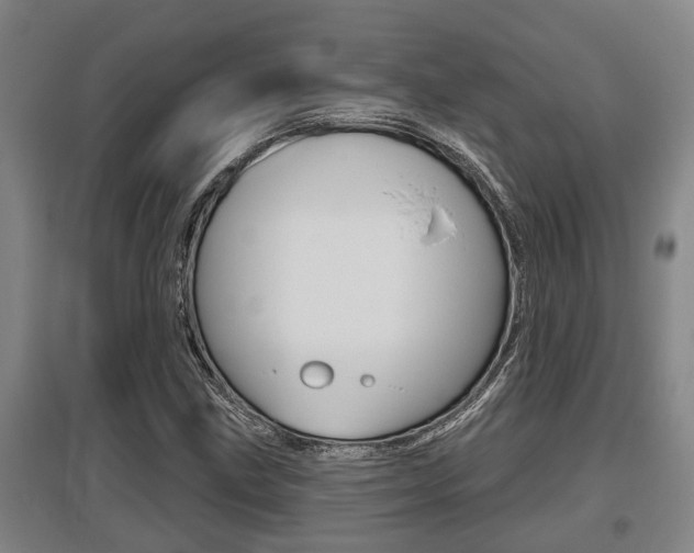 X0000095961211200801110938