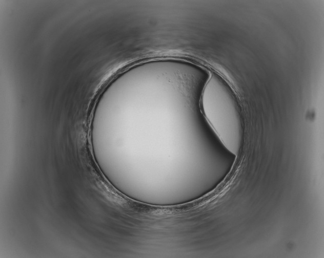 X0000095961212200801110938